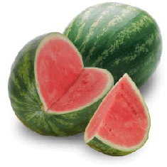 Sandia 